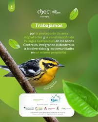 Categoria